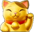 Cat multiplier